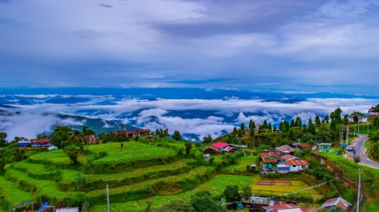 Most Popular Darjeeling Gangtok Tour Package – 8 Days 7 Nights